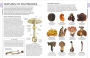 Alternative view 2 of Mushrooms: How to Identify and Gather Wild Mushrooms and Other Fungi
