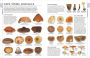 Alternative view 3 of Mushrooms: How to Identify and Gather Wild Mushrooms and Other Fungi