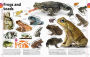Alternative view 10 of The Animal Book: A Visual Encyclopedia of Life on Earth