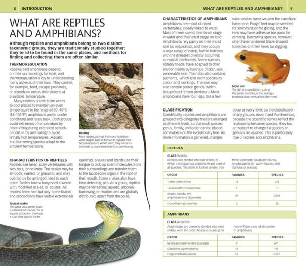 Nature Guide: Snakes and Other Reptiles and Amphibians: The World in Your Hands