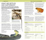 Alternative view 2 of Nature Guide: Snakes and Other Reptiles and Amphibians: The World in Your Hands