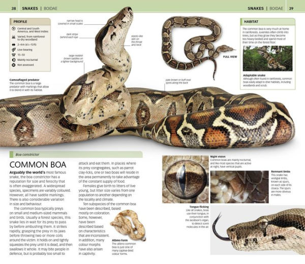 Nature Guide: Snakes and Other Reptiles and Amphibians: The World in Your Hands