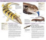 Alternative view 4 of Nature Guide: Snakes and Other Reptiles and Amphibians: The World in Your Hands