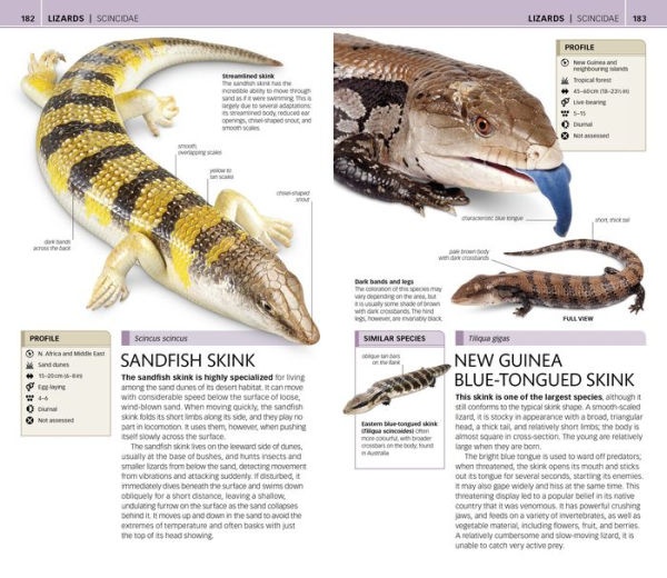 Nature Guide: Snakes and Other Reptiles and Amphibians: The World in Your Hands