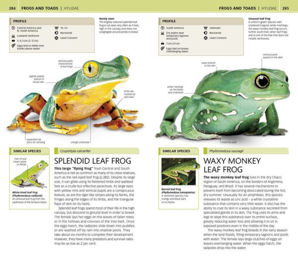 Nature Guide: Snakes and Other Reptiles and Amphibians: The World in Your Hands