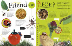 Alternative view 6 of Everything You Need to Know About Bugs