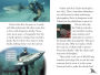 Alternative view 4 of Shark Attack! (DK Readers Level 3 Series)