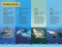 Alternative view 6 of Shark Attack! (DK Readers Level 3 Series)