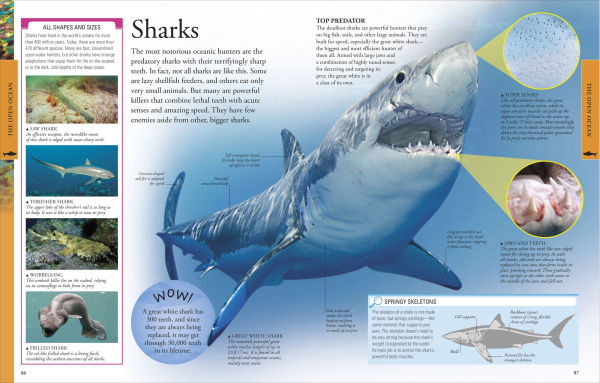 Ocean: A Visual Encyclopedia