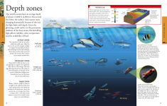 Alternative view 3 of Ocean: A Visual Encyclopedia