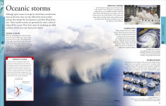 Alternative view 9 of Ocean: A Visual Encyclopedia