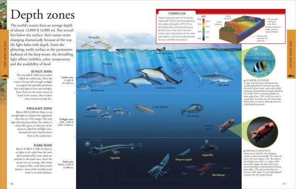 Ocean: A Visual Encyclopedia