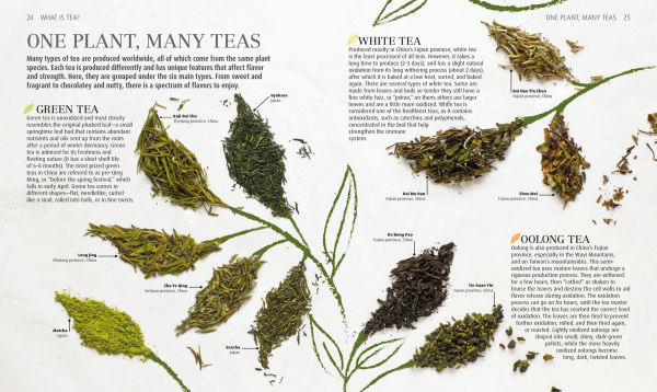 The Tea Book: Experience the World's Finest Teas, Qualities, Infusions, Rituals, Recipes