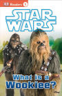 DK Readers L1: Star Wars: What Is A Wookiee?