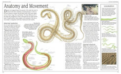 Alternative view 2 of Snake: The Essential Visual Guide
