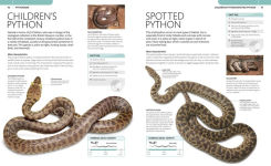 Alternative view 6 of Snake: The Essential Visual Guide