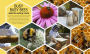 Alternative view 2 of The Bee Book: Discover the Wonder of Bees and How to Protect Them for Generations to Come