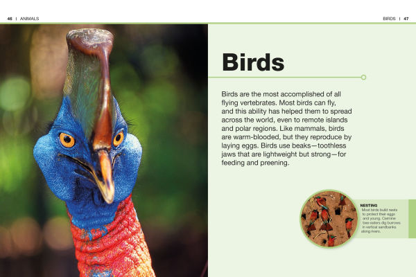 Pocket Genius Animals: Facts at Your Fingertips