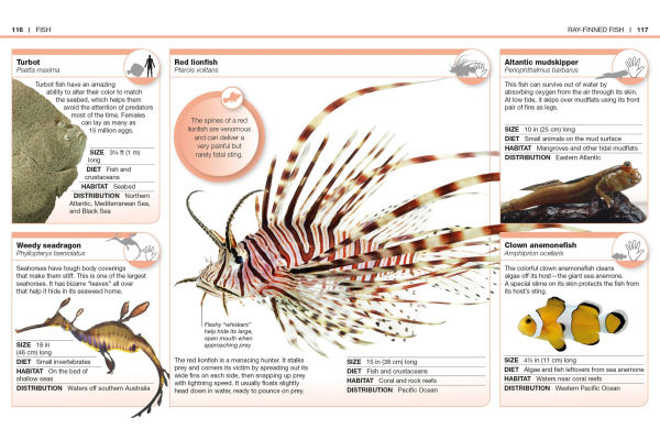 Pocket Genius Animals: Facts at Your Fingertips