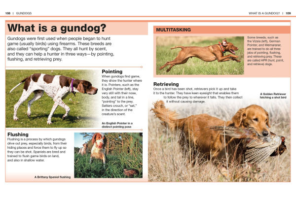 Pocket Genius: Dogs: Facts at Your Fingertips