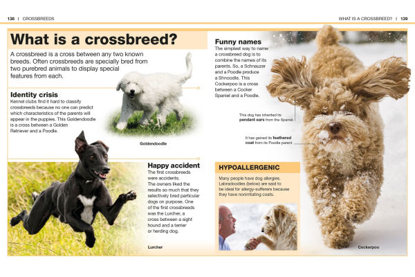 Pocket Genius: Dogs: Facts at Your Fingertips