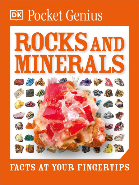 Pocket Genius Rocks and Minerals: Facts at Your Fingertips