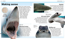Alternative view 2 of Pocket Genius Sharks: Facts at Your Fingertips