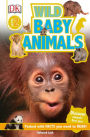 Wild Baby Animals (DK Readers Level 2 Series)
