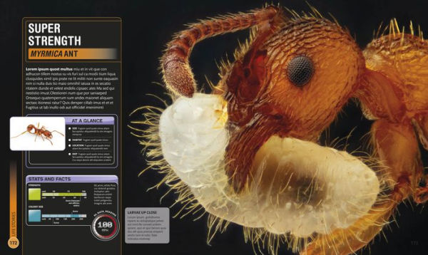 Super Bug Encyclopedia: The Biggest, Fastest, Deadliest Creepy-Crawlers on the Planet