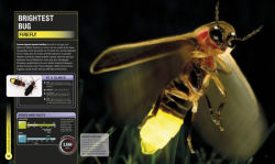 Alternative view 4 of Super Bug Encyclopedia: The Biggest, Fastest, Deadliest Creepy-Crawlers on the Planet