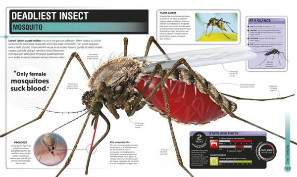 Super Bug Encyclopedia: The Biggest, Fastest, Deadliest Creepy-Crawlers on the Planet