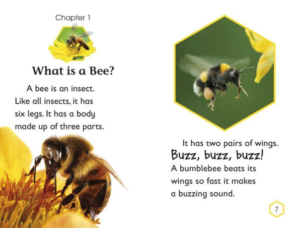 DK Readers L2: Amazing Bees: Buzzing with Bee Facts!