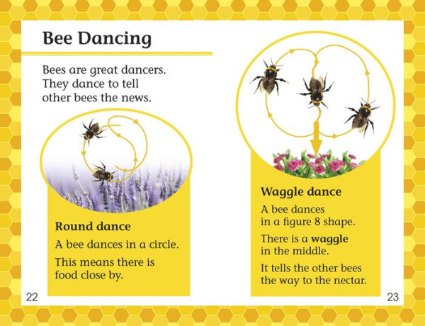 DK Readers L2: Amazing Bees: Buzzing with Bee Facts!