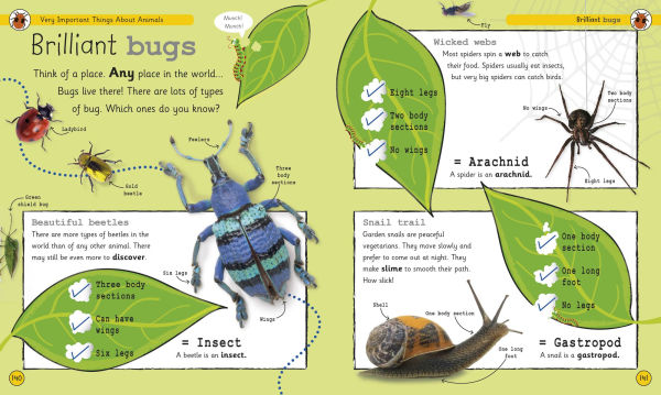 My Encyclopedia of Very Important Things: For Little Learners Who Want to Know Everything