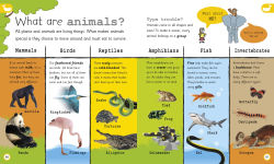 Alternative view 9 of My Encyclopedia of Very Important Things: For Little Learners Who Want to Know Everything