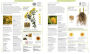 Alternative view 2 of Encyclopedia of Herbal Medicine: 550 Herbs and Remedies for Common Ailments