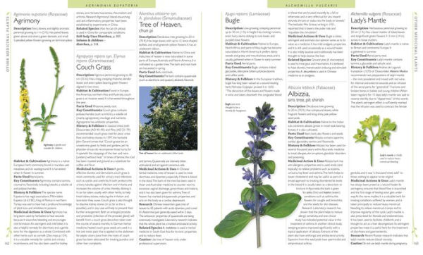 the Encyclopedia of Medicinal Plants  洋書