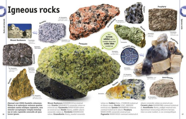 The Rock and Gem Book: And Other Treasures of the Natural World