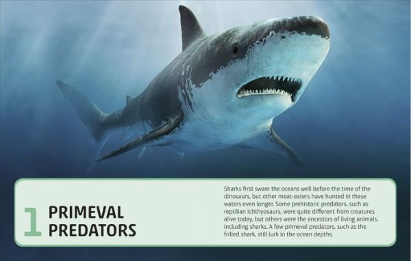 Sharks and Other Deadly Ocean Creatures Visual Encyclopedia