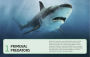 Alternative view 11 of Sharks and Other Deadly Ocean Creatures Visual Encyclopedia