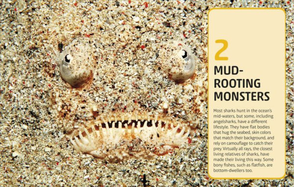 Sharks and Other Deadly Ocean Creatures Visual Encyclopedia