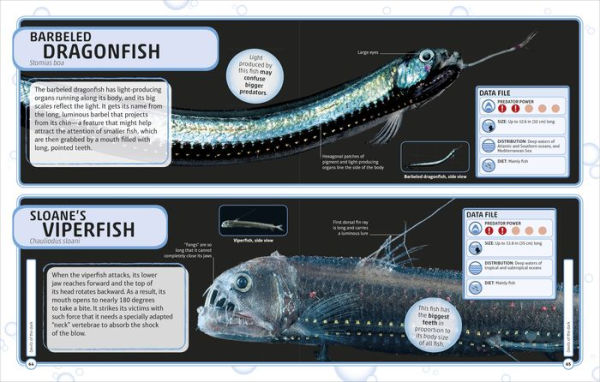 Sharks and Other Deadly Ocean Creatures Visual Encyclopedia