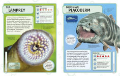 Alternative view 2 of Sharks and Other Deadly Ocean Creatures Visual Encyclopedia