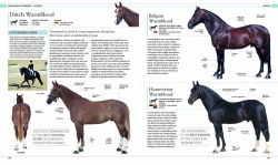 Alternative view 3 of The Horse Encyclopedia