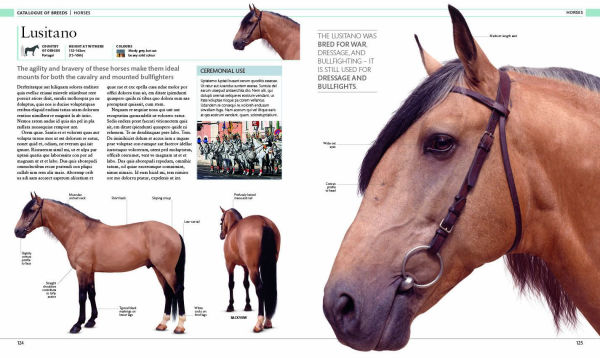 The Horse Encyclopedia