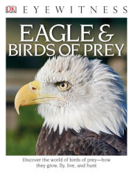 Title: Eagle & Birds of Prey (DK Eyewitness Books Series), Author: David Burnie
