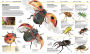 Alternative view 8 of Knowledge Encyclopedia Animal!: The Animal Kingdom as You've Never Seen It Before