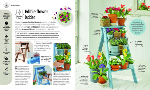 Indoor Edible Garden: Creative Ways to Grow Herbs, Fruits, and Vegetables in Your Home