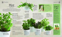 Alternative view 15 of Indoor Edible Garden: Creative Ways to Grow Herbs, Fruits, and Vegetables in Your Home