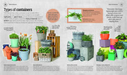 Alternative view 8 of Indoor Edible Garden: Creative Ways to Grow Herbs, Fruits, and Vegetables in Your Home